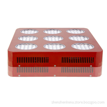 Grow Light for Plant LED Grow Light Induction Grow Light Grow LED Light Plant Grow Lights Lowes Best LED Grow Lights 2013